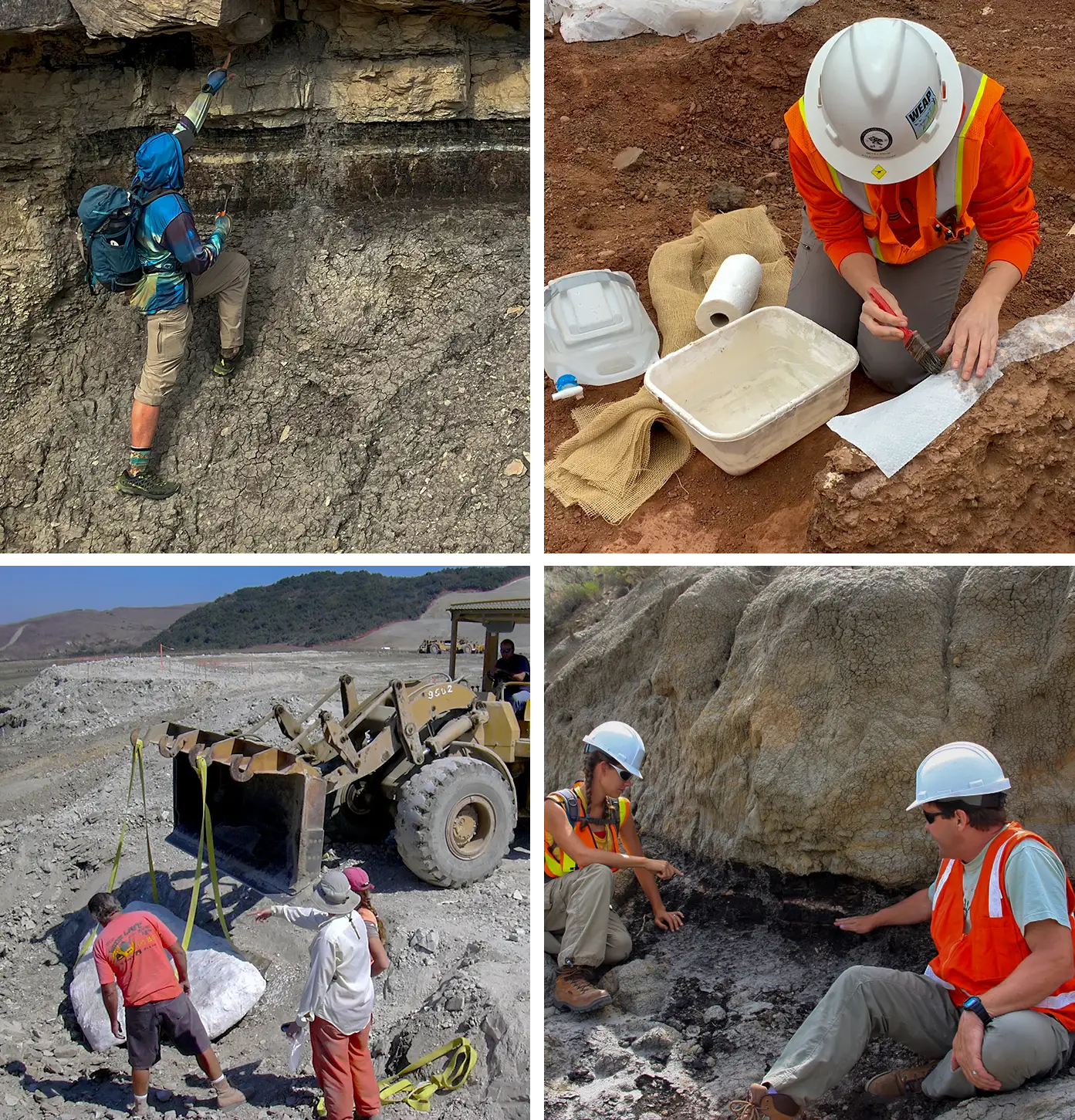 Various staff of Paleo Resource Specialists