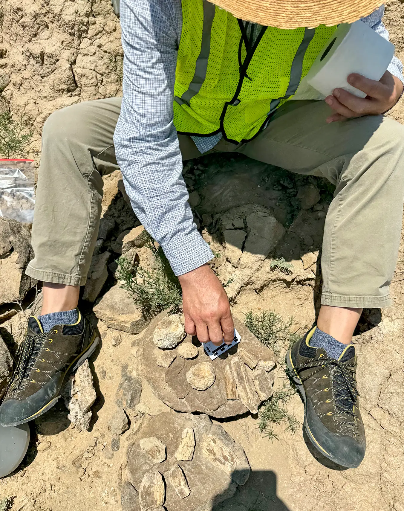 Paleontologist from Paleo Resource Specialists excavating fossils at a field site in New Mexico. Our team provides professional paleontological services, including mitigation, monitoring, and fossil recovery across the Southwest.