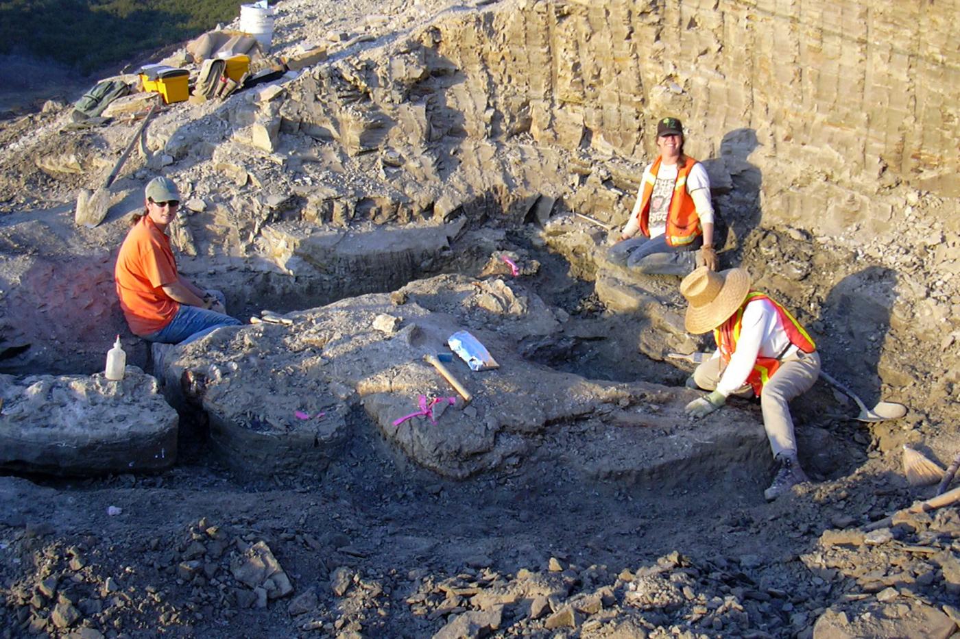 Paleo Resource Specialists performing field work