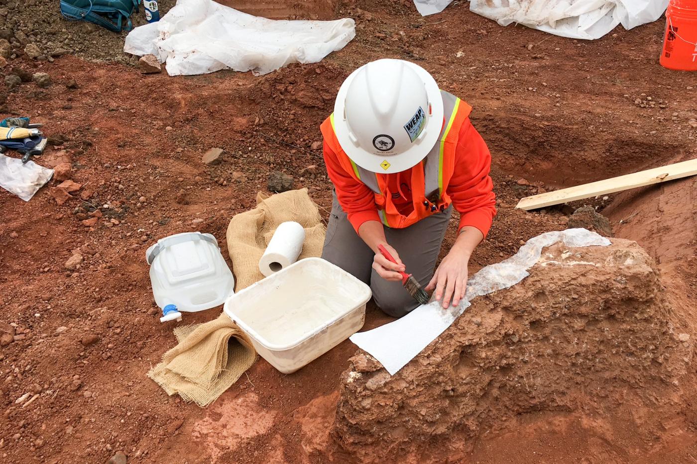 Paleo Resource Specialists performing field work